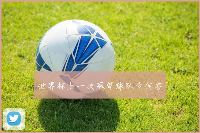 世界杯上一次冠军球队今何在