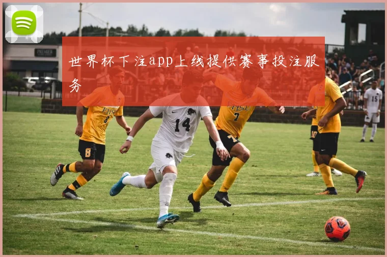 世界杯下注app上线提供赛事投注服务